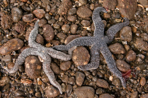 minusTide_K208405_web1280